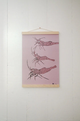 Affiche Crevettes - Pascale Faubert - Le Tenon et la Mortaise Affiches, reproductions et œuvres graphiques 